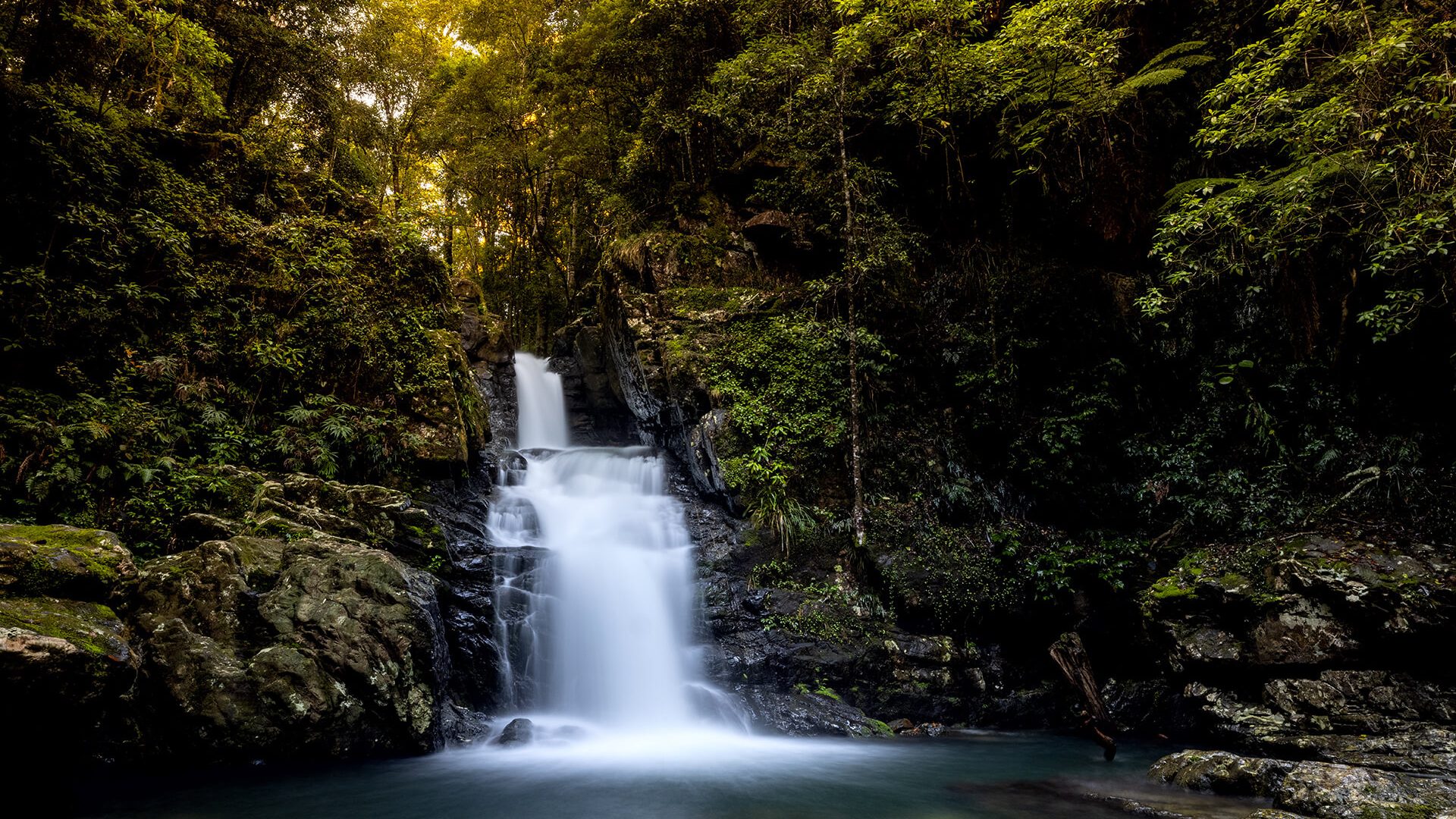 Dorrigo Waterfall Way